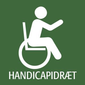 handicap-ikon